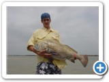 A nice size Black Drum