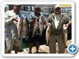 These guys have enough fish for a good size fish fry. The only thing missing is the Shrimp, fries and a nice cold beer.