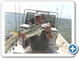 This is a great looking Snook.