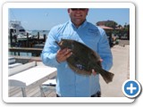 Nice Flounder