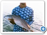 Nice Redfish